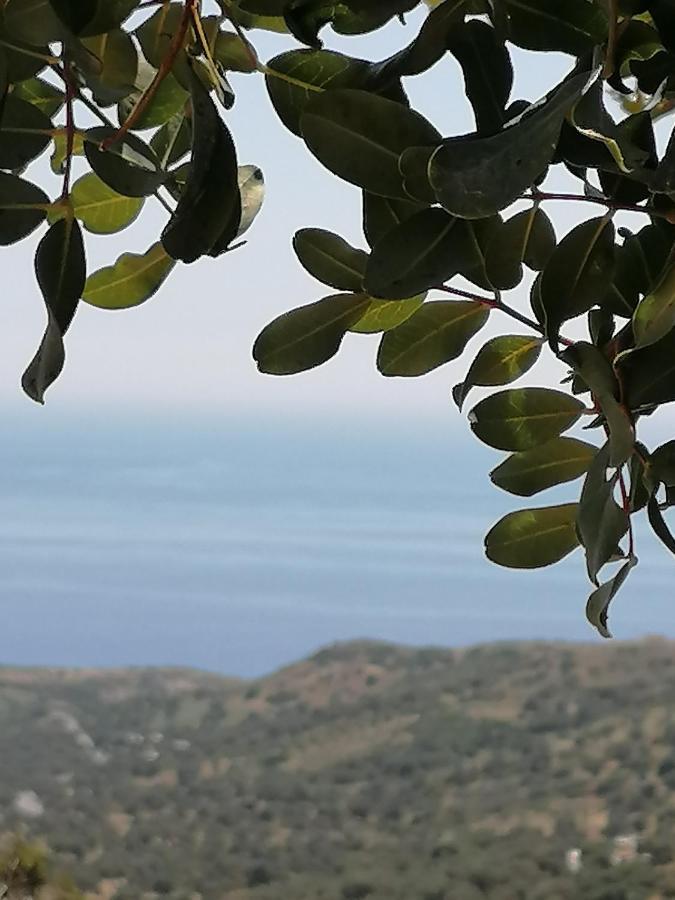 Villa Argyro Triopetra Eksteriør bilde